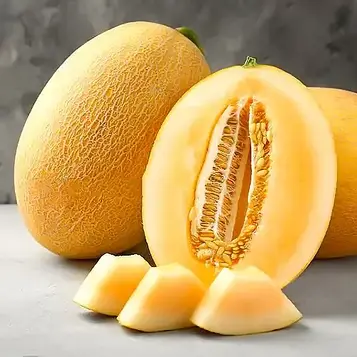 Насіння дині Амал F1, Clause - 10 шт (Агро Імідж)