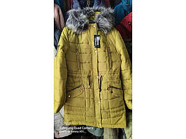 Верхній одяг зимовий