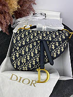 Dior Saddle Logo