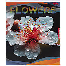 Зошит 96 арк. клітинка "МРІЇ" / Flowers, фото 4