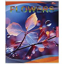 Зошит 96 арк. клітинка "МРІЇ" / Flowers, фото 2