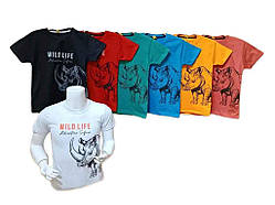 Футболка хлопч арт.030609ft р.5 років ТМ HARIZMA