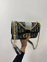 Dior 30 Montaigne Oblique Bag