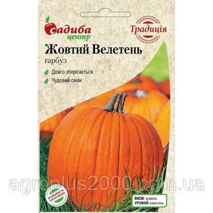 Насіння Гарбуз Жовтий велетень 1 грам Традиція, фото 1