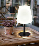 Настільна лампа RGB LED на сонячній батареї, чорний, білий, змінює колір, H 30 см, фото 2