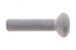 Болт передньої маточини BMW 3 (F30) / 5 (F07) 09-18 Febi Bilstein 102234