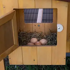 Дерев'яний будиночок для курей 6 курей HEN HOUSE 30 162 x 100 x h 110 cm, фото 4