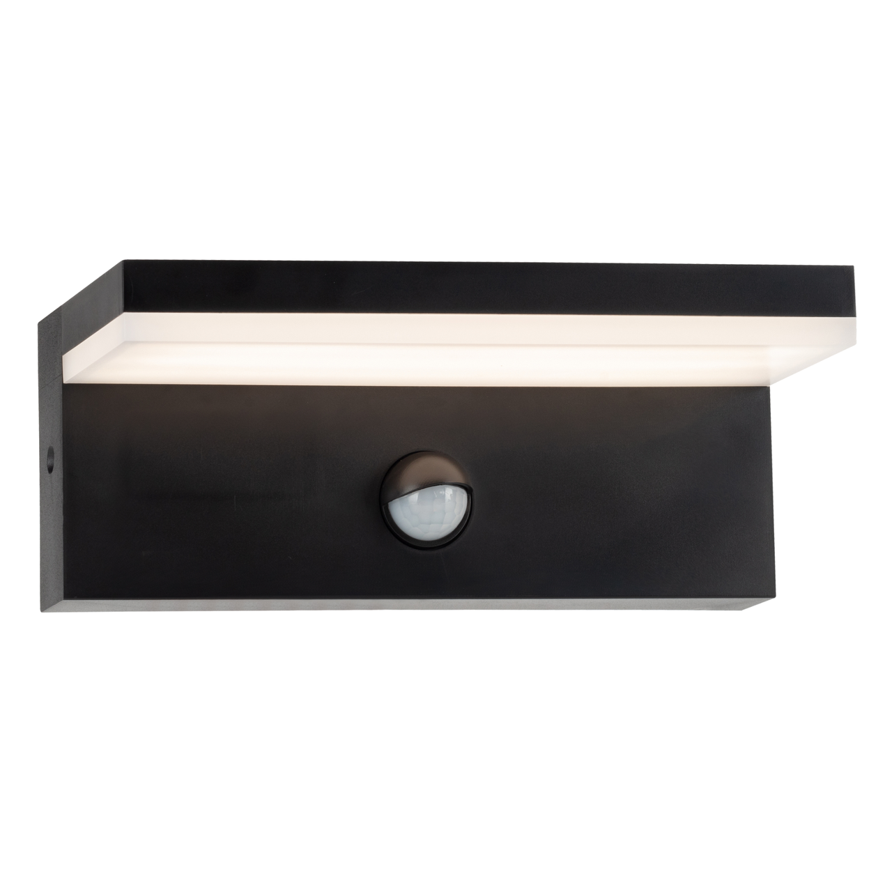 Вуличний світильник Polux Goldlux Tesa 324054