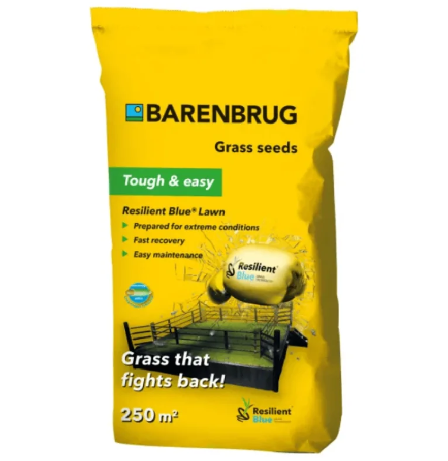 Газонна трава Resilient Blue Barenbrug - 5 кг