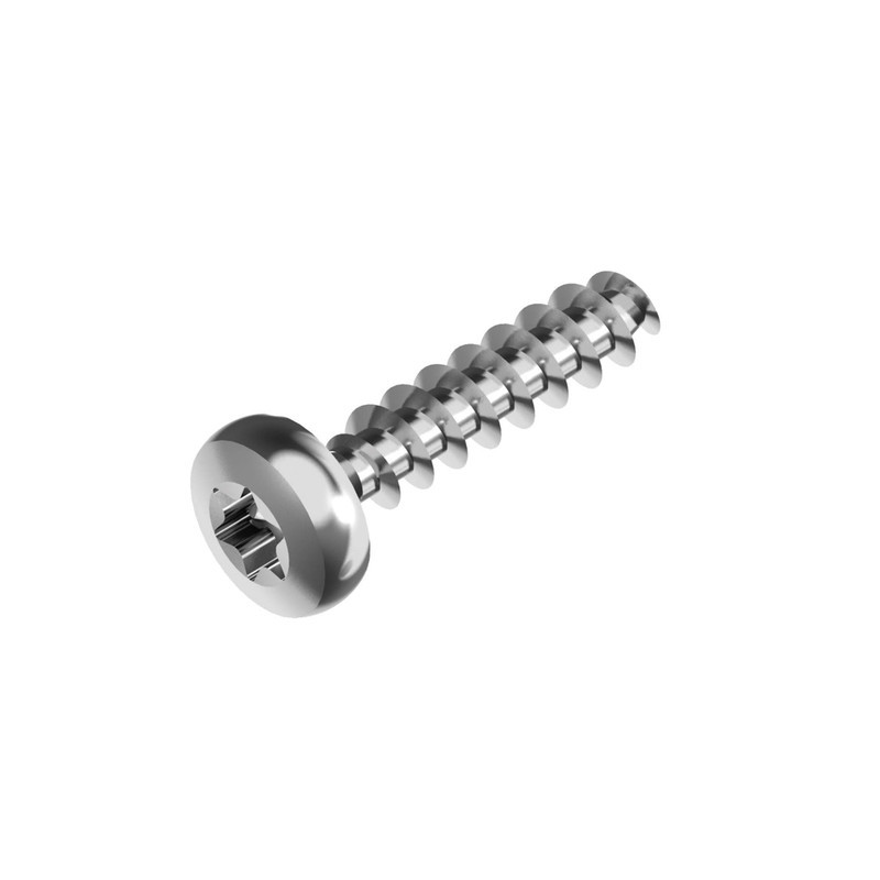 5х12 TX25 Саморіз для пластику цинк білий напівкругла головка тупий кінець [80P20000080P05122T] Metalvis, фото 1