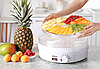 Сушарка для фруктів і овочів MalTec DryMaster 500W (Польща), фото 4