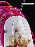 Шкільний ортопедичний водонепроникний рюкзак дівчинці SkyName рожевий з котиком/ Нейлоновий дівчачий портфель для школи 1-4 клас, фото 9