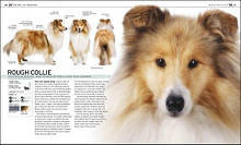 The Complete Dog Breed Book, фото 3