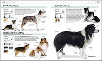 The Complete Dog Breed Book, фото 4