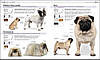 The Complete Dog Breed Book, фото 7