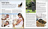 The Complete Dog Breed Book, фото 8
