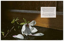 Flower Philosophy: Seasonal projects to inspire and restore, фото 3