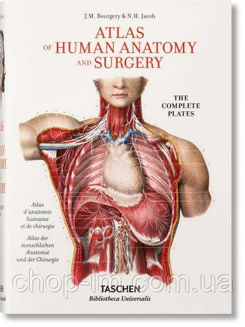 Bibliotheca Universalis: Bourgery. Atlas of Human Anatomy and Surgery, фото 1