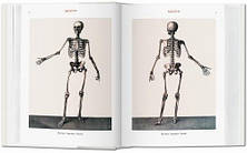 Bibliotheca Universalis: Bourgery. Atlas of Human Anatomy and Surgery, фото 2