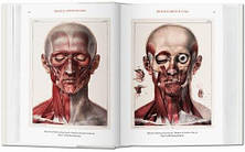 Bibliotheca Universalis: Bourgery. Atlas of Human Anatomy and Surgery, фото 3