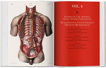 Bibliotheca Universalis: Bourgery. Atlas of Human Anatomy and Surgery, фото 4