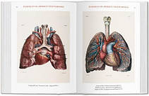 Bibliotheca Universalis: Bourgery. Atlas of Human Anatomy and Surgery, фото 5
