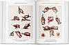 Bibliotheca Universalis: Bourgery. Atlas of Human Anatomy and Surgery, фото 6