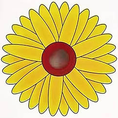 Клейова пастка від літаючих комах Соняшник