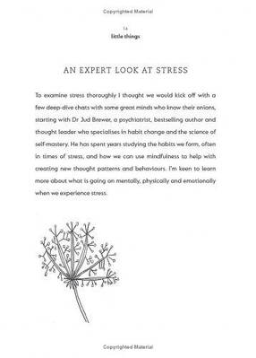 Little Things: A Positive Toolkit for When Life Feels Stressful, фото 3