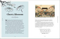 The Secret Language of Flowers, фото 4