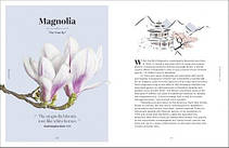 The Secret Language of Flowers, фото 5