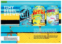 Beer Craft: The no-nonsense guide to making and enjoying damn good craft beer at home, фото 6