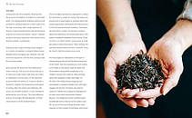 Good & Proper Tea: From leaf to cup, how to choose, brew and cook with tea, фото 4