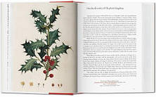 A Garden Eden. Masterpieces of Botanical Illustration (40th Anniversary Edition), фото 2