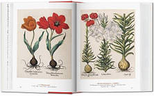 A Garden Eden. Masterpieces of Botanical Illustration (40th Anniversary Edition), фото 3