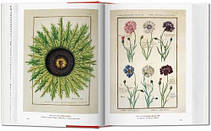 A Garden Eden. Masterpieces of Botanical Illustration (40th Anniversary Edition), фото 4