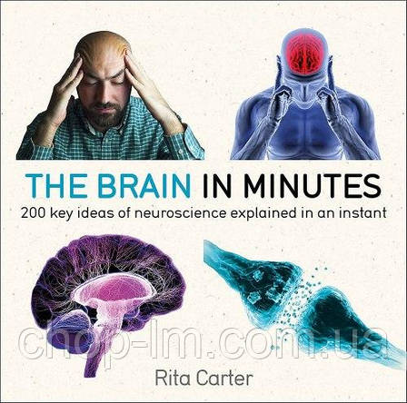 The Brain in Minutes, фото 1
