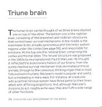 The Brain in Minutes, фото 5