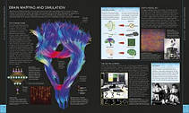 The Brain Book: An Illustrated Guide to its Structure, Functions, and Disorders, фото 5
