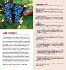 Hugh Johnson's Pocket Wine Book 2019, фото 4
