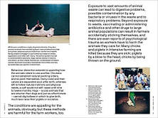 The Big Idea: Should We All Be Vegan? Thames & Hudson, фото 3