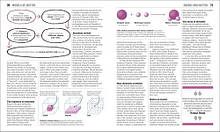 Big Ideas Simply Explained: The Physics Book, фото 4