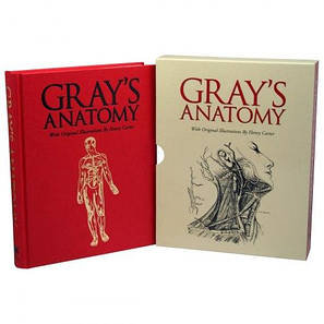 Gray's Anatomy (Slipcase Edition), фото 3
