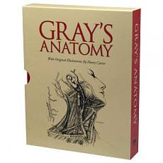 Gray's Anatomy (Slipcase Edition), фото 4