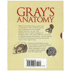 Gray's Anatomy (Slipcase Edition), фото 5