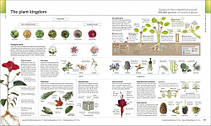 The Visual Encyclopedia, фото 5