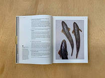 The Whole Fish Cookbook, фото 6