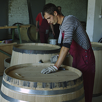 Wine Science: The Application of Science in Winemaking, фото 5