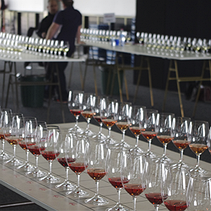 Wine Science: The Application of Science in Winemaking, фото 6