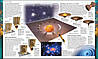 Universe: The Definitive Visual Guide, фото 7